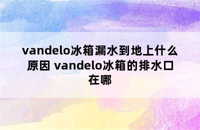 vandelo冰箱漏水到地上什么原因 vandelo冰箱的排水口在哪